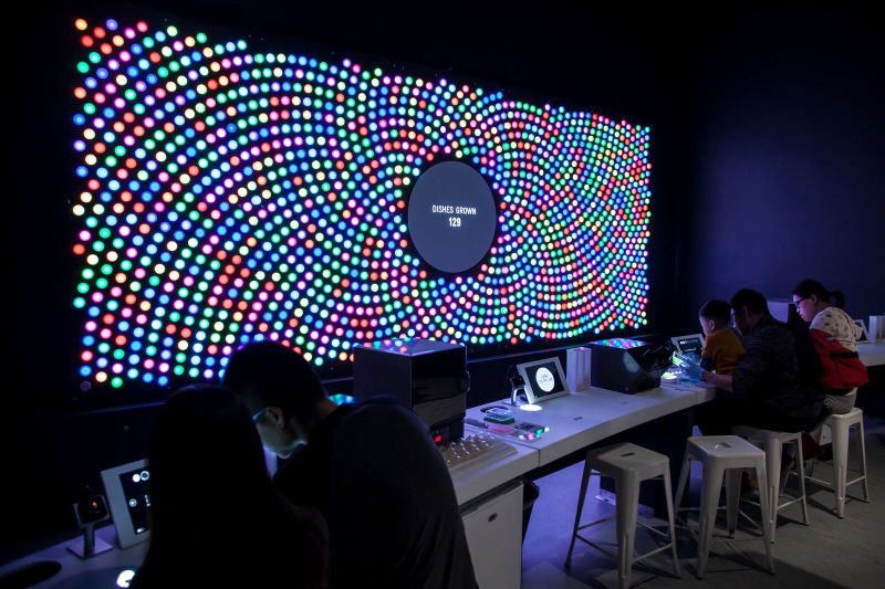 Visitors are adding vials of DNA to actual e. coli bacteria to engineer new cells, and the colored petri dishes visualize the experiment in real-time. Image: Local Projects